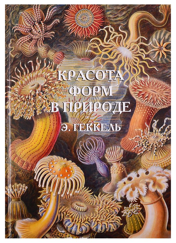 Книга Красота форм в природе. Э. Геккель (Андрей Астахов) — 1
