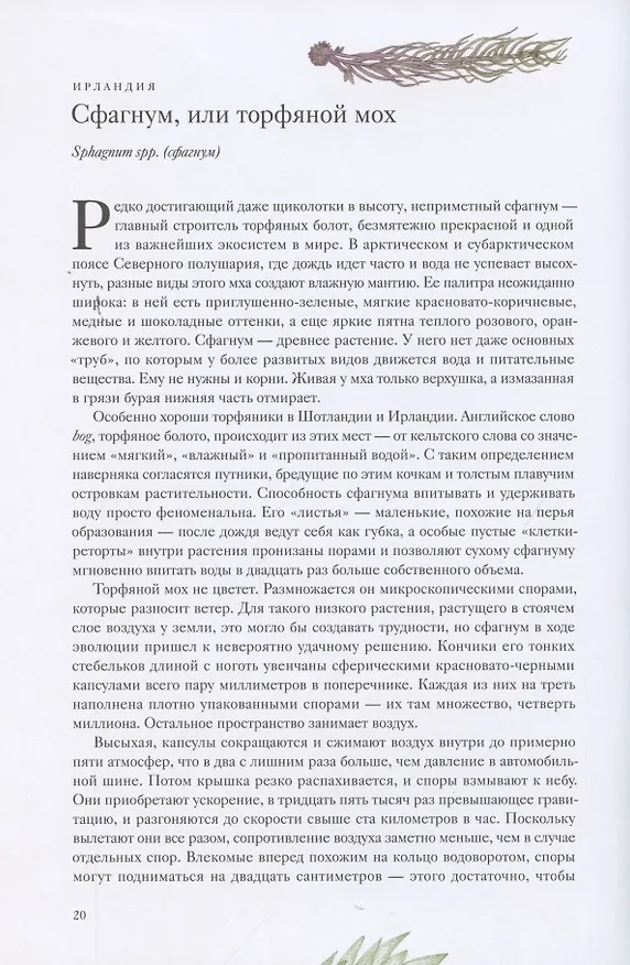 Книга Вокруг света за 80 растений (Джонатан Дрори) — 11