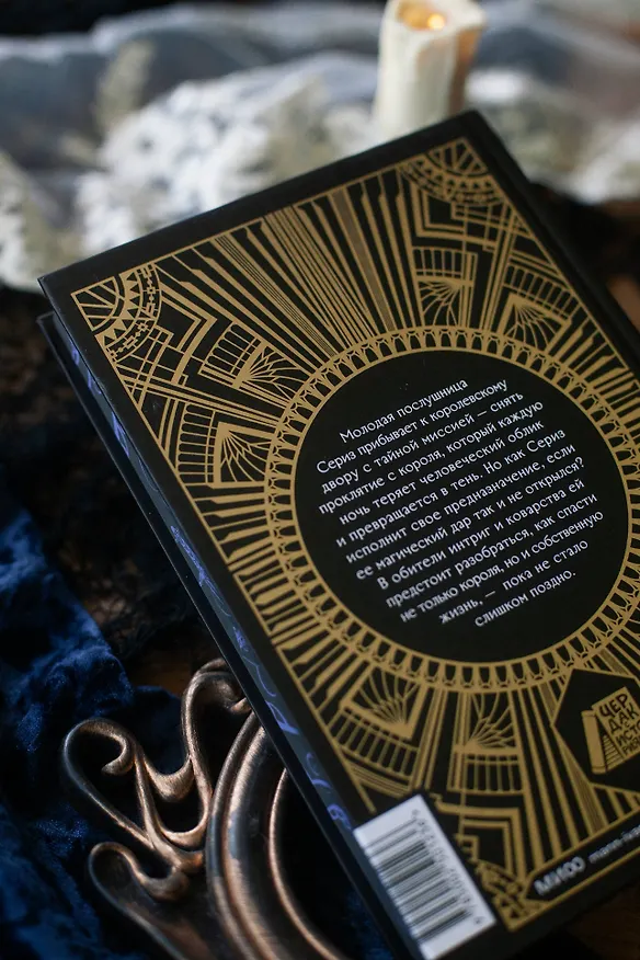 Книга Тень короля (Мелисса Ландерс) — 14