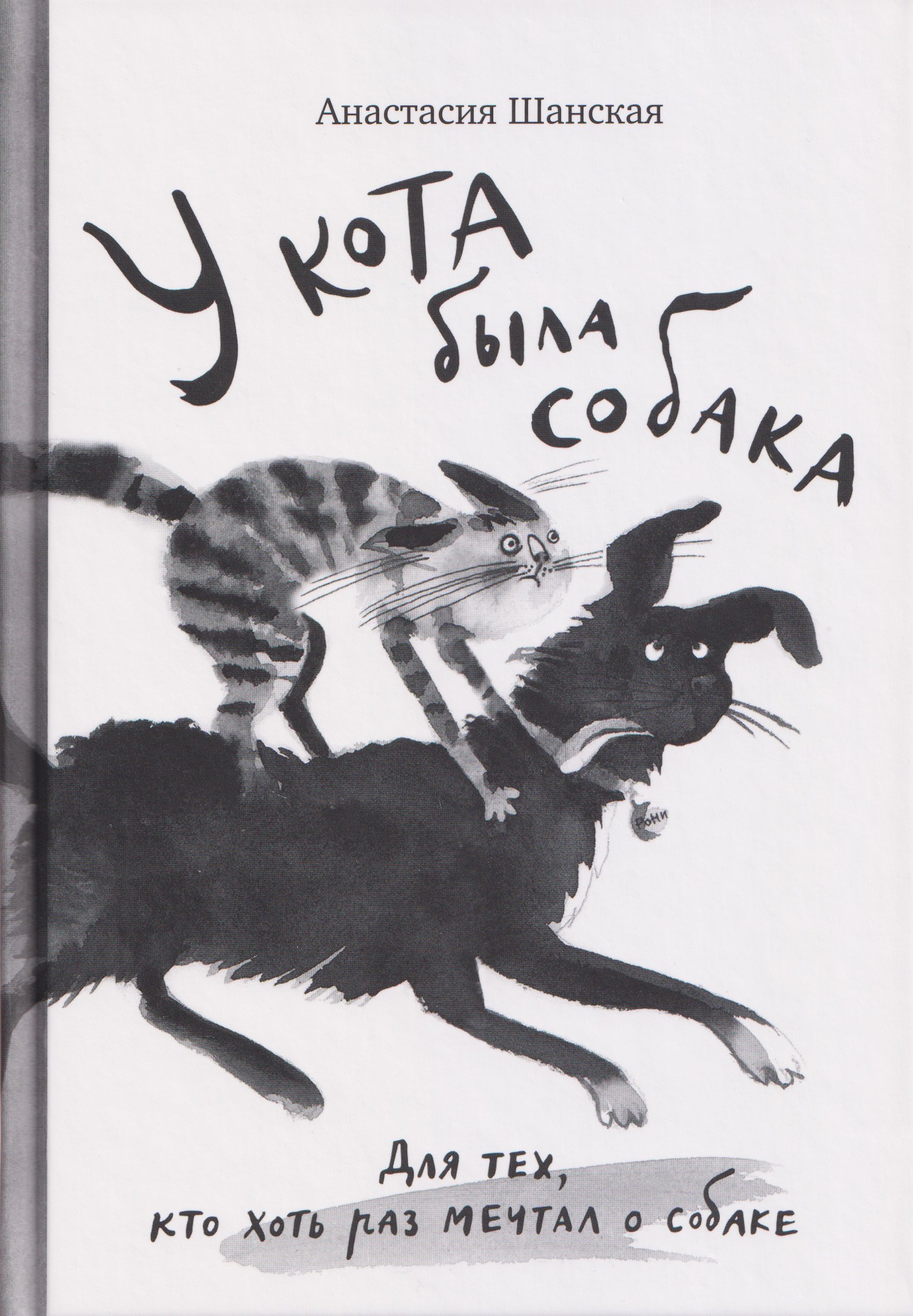 У кота была собака