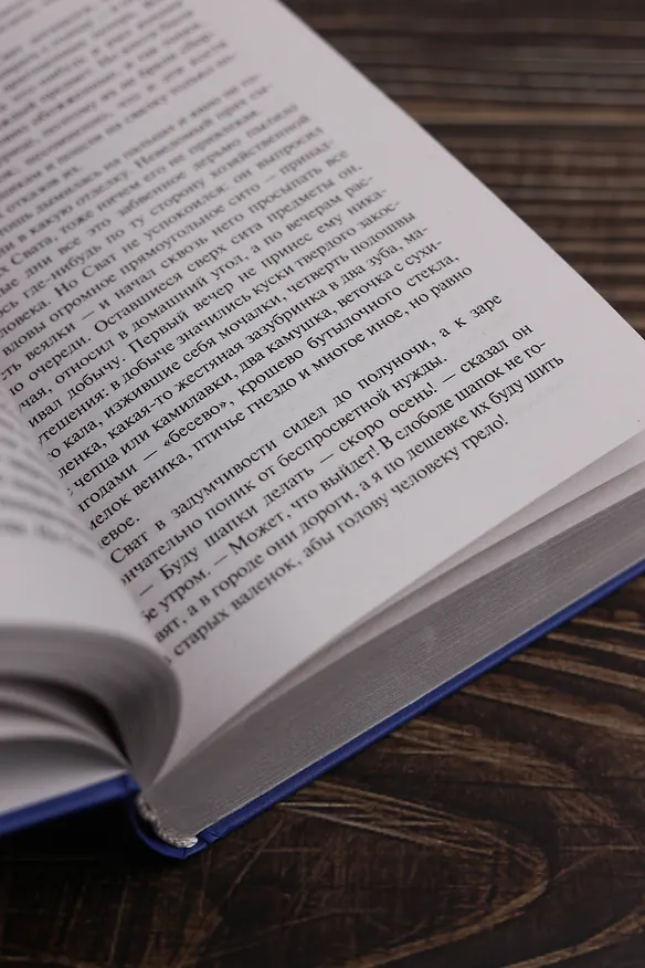 Книга Город Градов и другие повести (Андрей Платонов) — 10