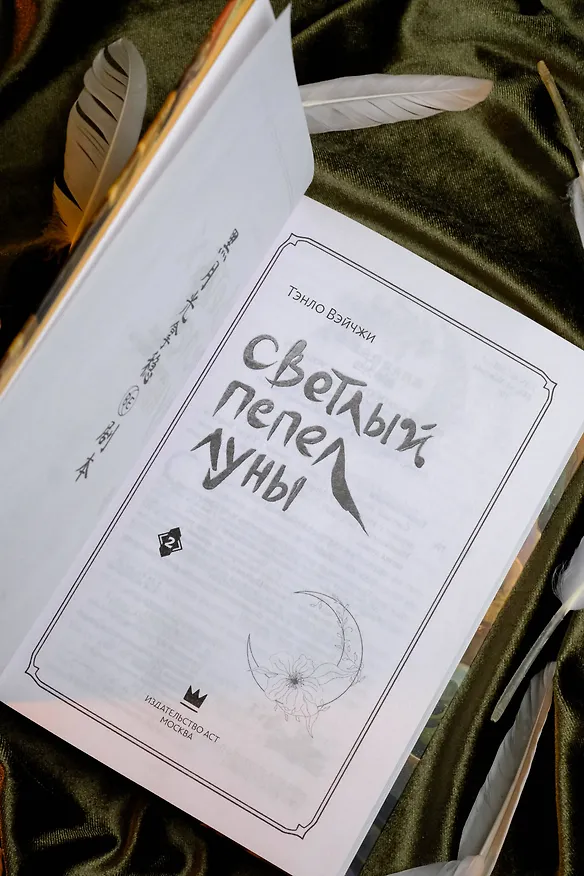Книга Светлый пепел луны. Книга 2. Новелла (Тэнло Вэйчжи) — 12