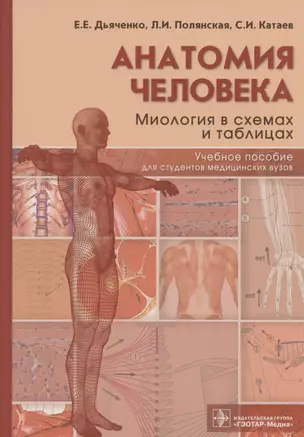 Анатомия человека: миология в схемах и таблицах. Учебное пособие — 2834920 — 1