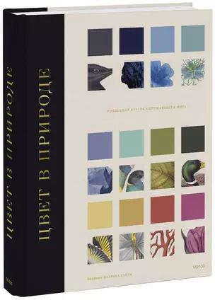 Цвет в природе. Коллекция красок окружающего мира — 2938652 — 1