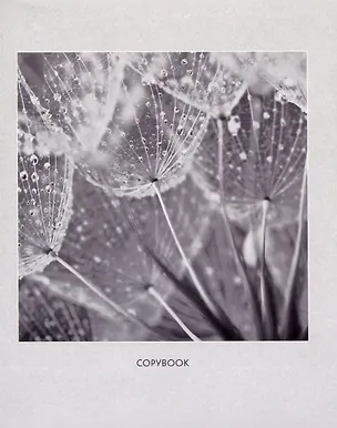 Тетрадь в клетку Listoff, Mono Flowers, 96 листов, в ассортименте 2901023