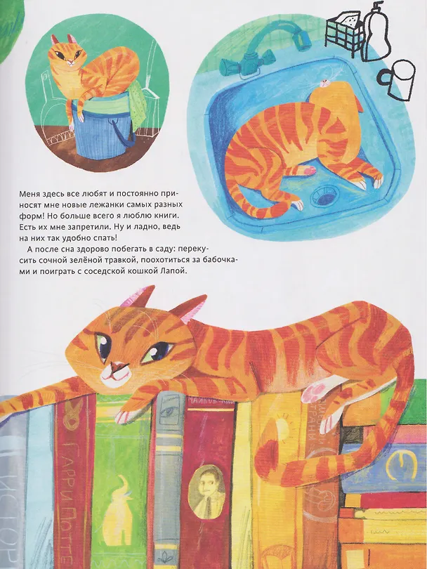Книга Кошачье досье (Дарья Ярцева) — 5