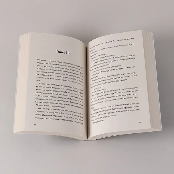 Книга Отражения нашего дома (Диба Заргарпур) — 5