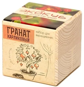 Набор для опытов и экспериментов Набор для выращивания Экокуб Гранат карликовый