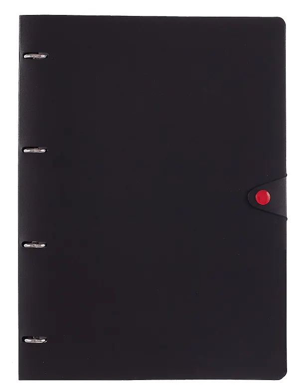 Тетрадь на кольцах «Favorite Black. No 4» 80 листов в клетку, А4, сменный блок - Listoff 3091865 — 1