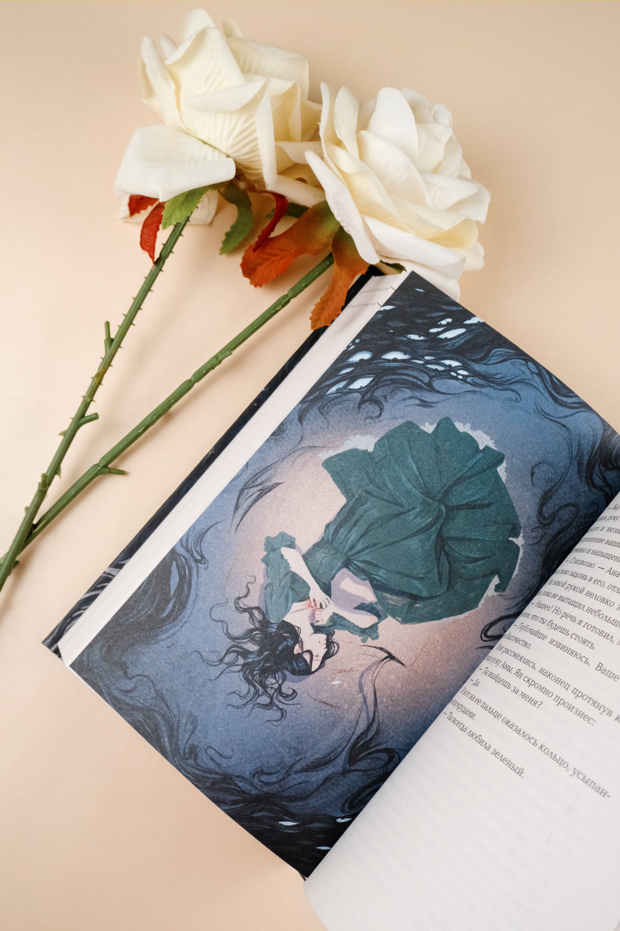 Изображение бумажной книги