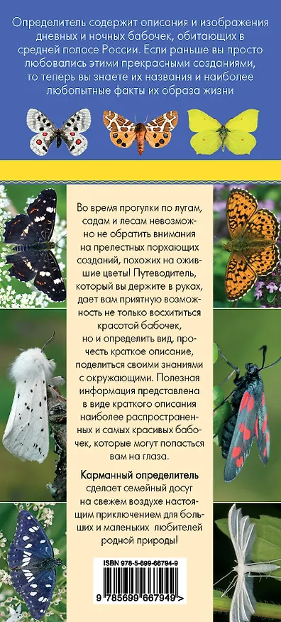 Книга Бабочки. Определитель самых популярных бабочек (Ксения Митителло) — 2