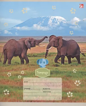 Тетрадь в клетку Unnika, "Дикие животные", 24 листа, в ассортименте 241177