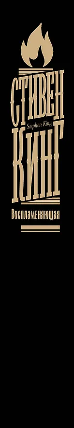 Книга Воспламеняющая (Стивен Кинг) — 4