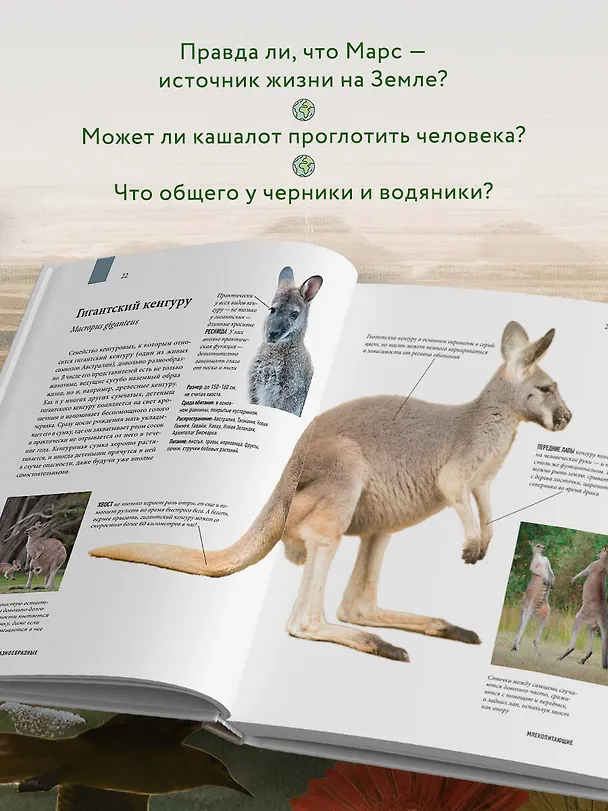 Книга Атлас Земли. Животные, растения, грибы, бактерии, минералы и другие сокровища нашей планеты (Регина Михайлова) — 8