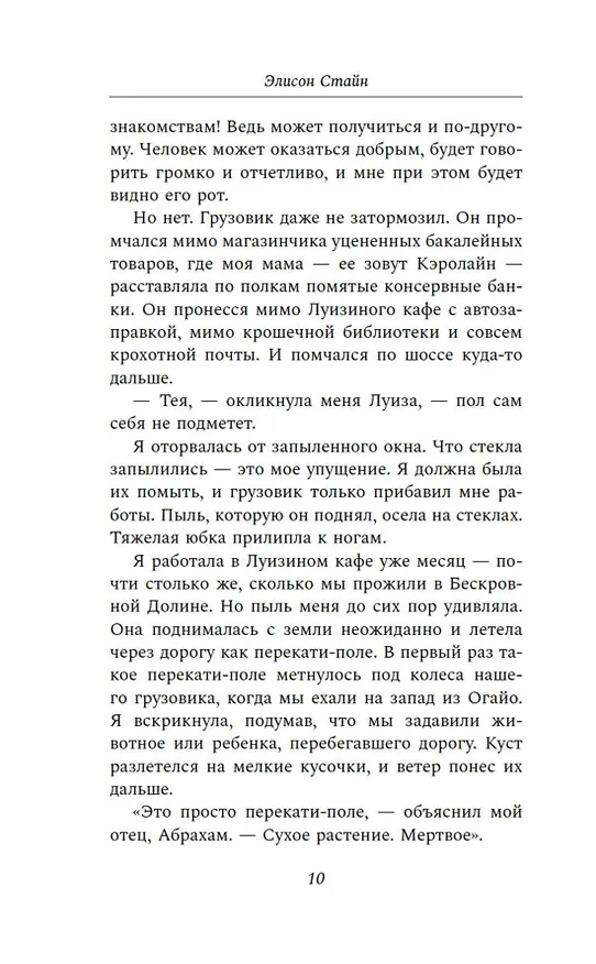 Книга Черная метель (Элисон Стайн) — 19