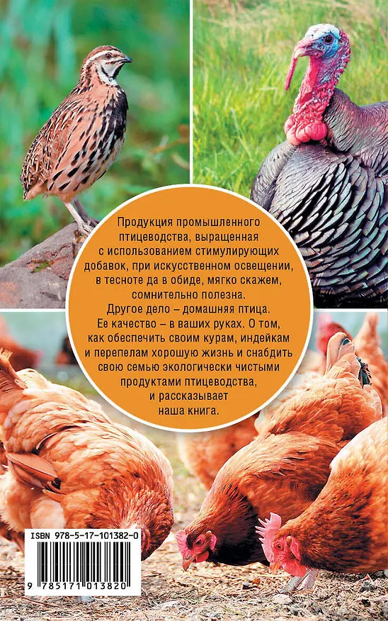 Книга Птицеводство для начинающих (Эдуард Бондарев) — 2