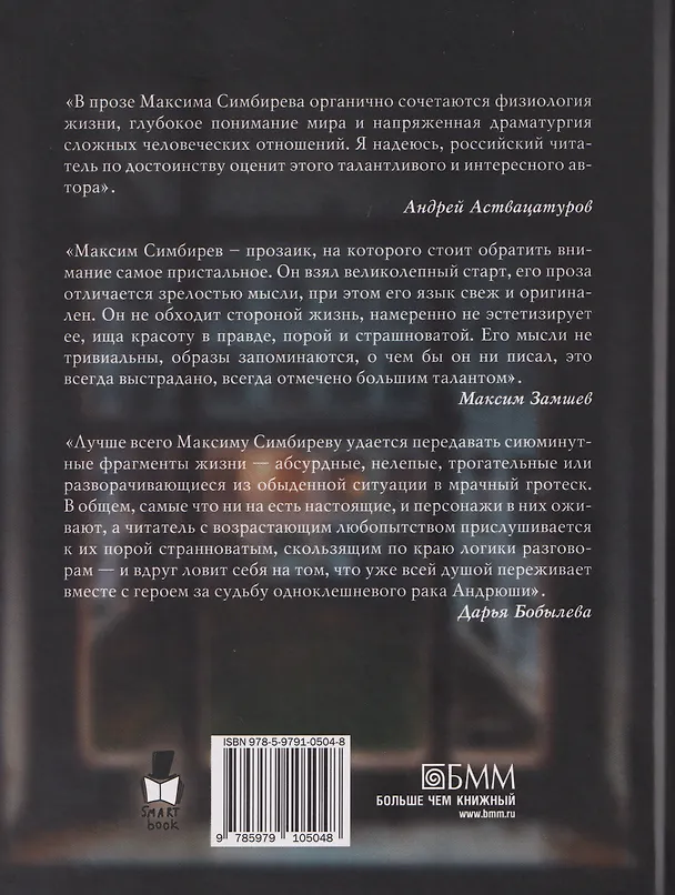 Книга Спать не хочется (Максим Симбирев) — 2