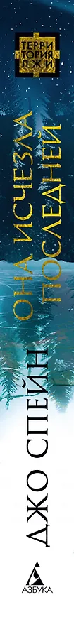 Книга Она исчезла последней (Джо Спейн) — 4