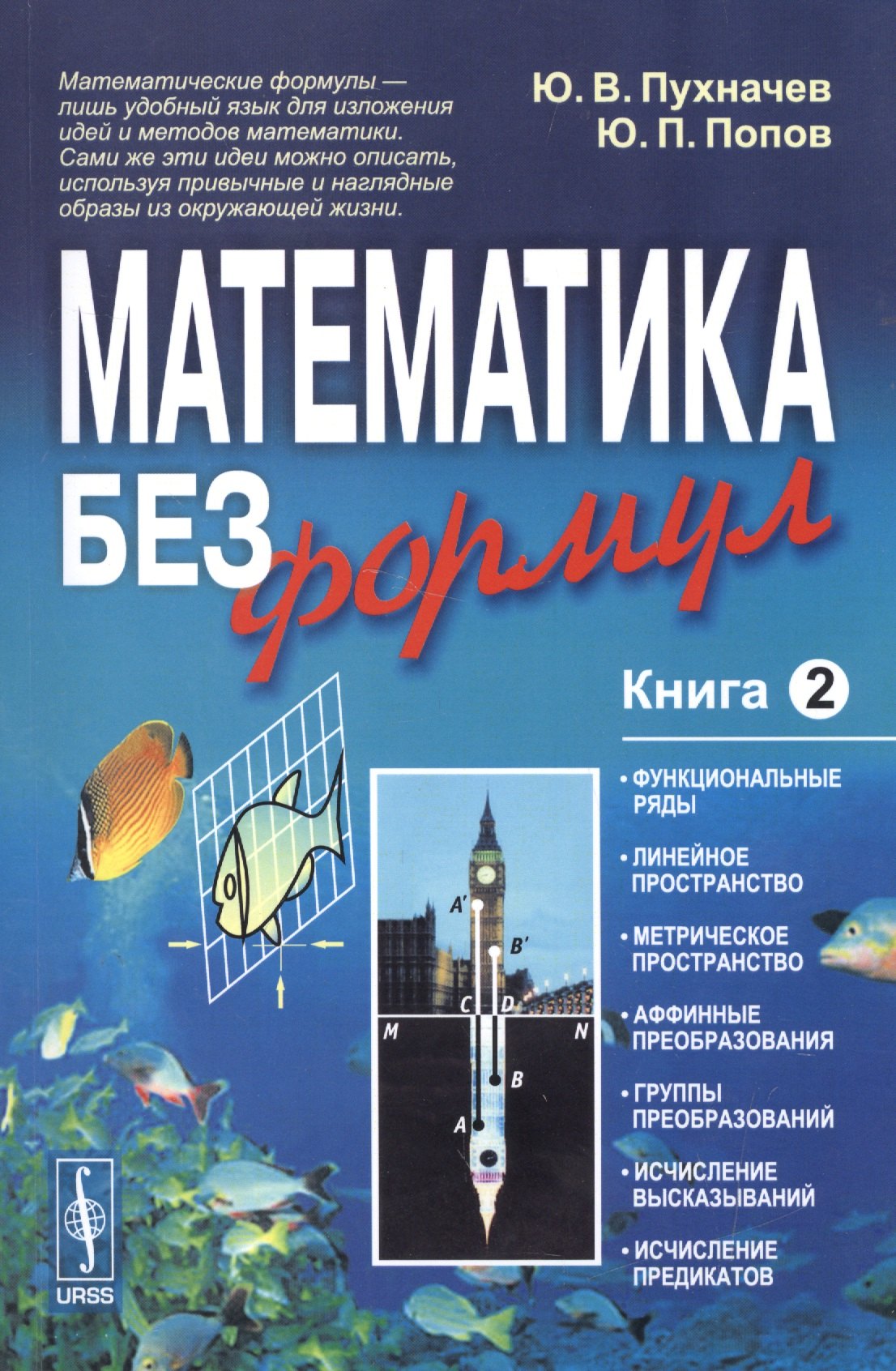 

Математика без формул. Книга вторая: Функциональные ряды, линейное и метрическое пространства, аффин