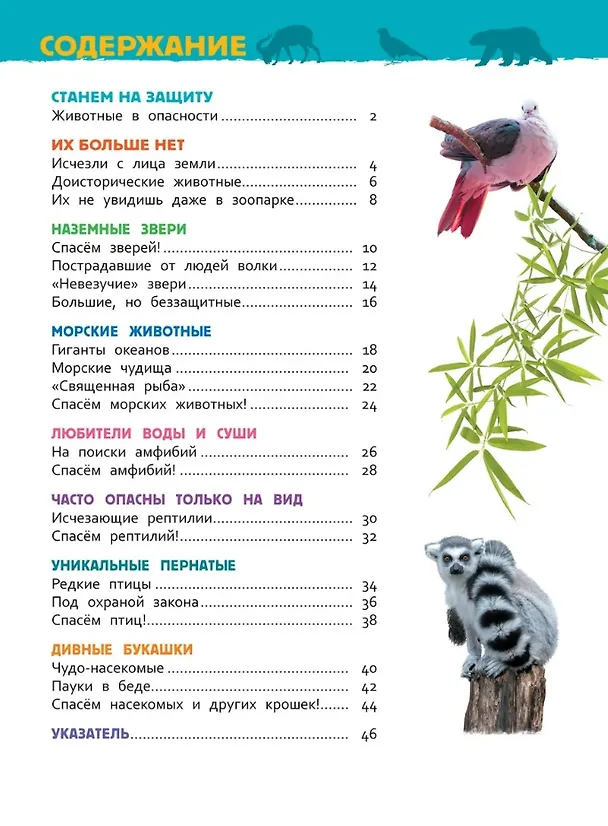 Книга Красная книга мира. Энциклопедия для детского сада (Лариса Клюшник) — 4