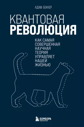 Квантовая революция. Как самая совершенная научная теория управляет нашей жизнью — 2931155 — 1