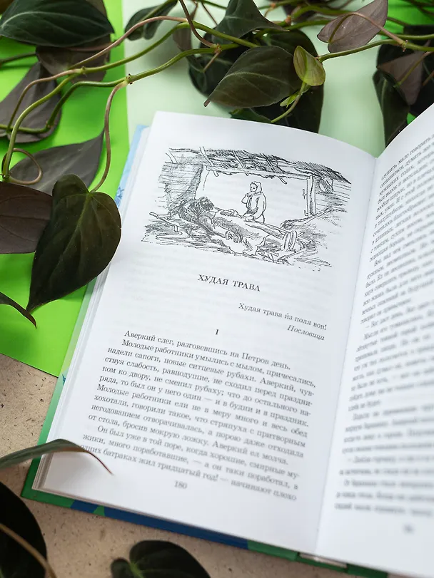 Книга Легкое дыхание (Иван Бунин) — 9