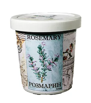Набор для выращивания Розмарин (q1491) 2387300