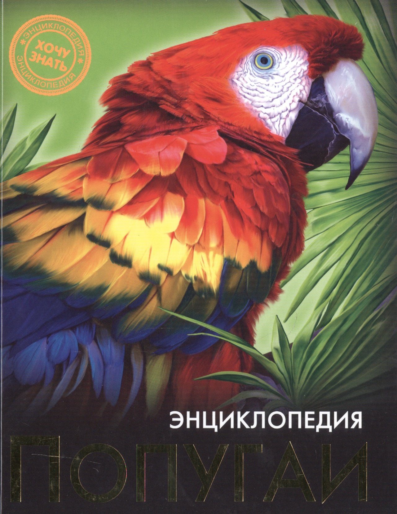 

Попугаи Энциклопедия (ХочЗн)