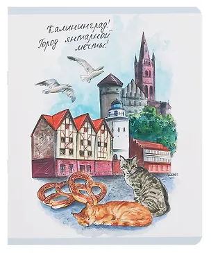 Тетрадь 48л кл. "Калининград" мел.картон, ламинация "soft touch", скругл.углы 3084018