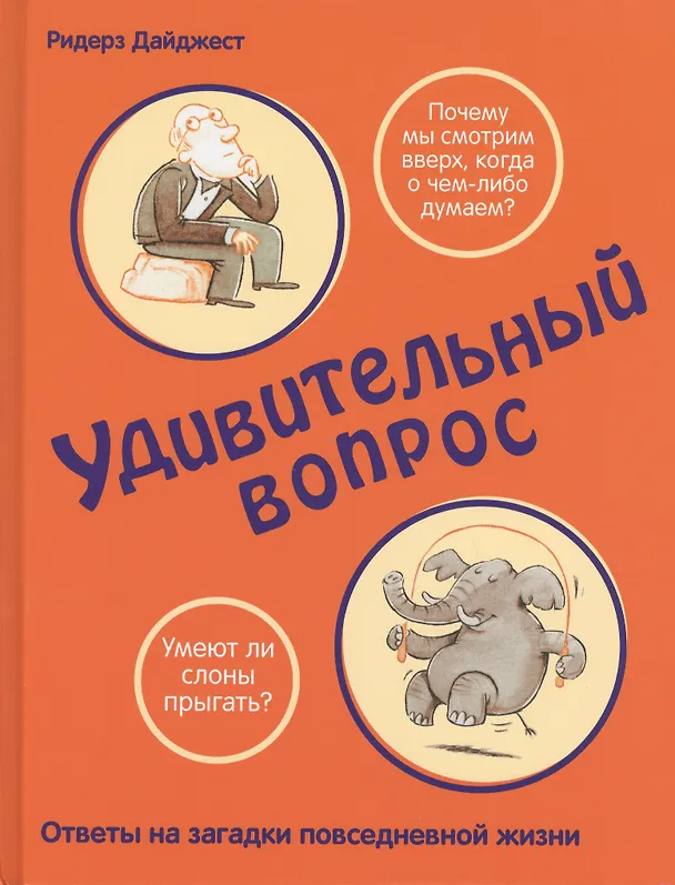 Книга Удивительный вопрос (Дэвид Фельдман) — 1