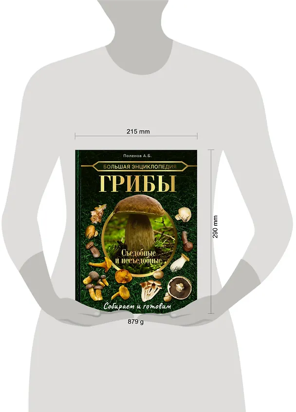 Книга Большая энциклопедия грибника. Съедобные и несъедобные. Собираем и готовим (Андрей Поленов) — 5