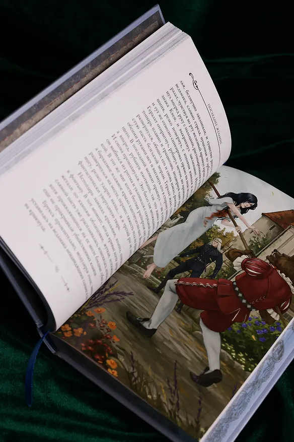 Книга Последнее желание (Анджей Сапковский) — 13