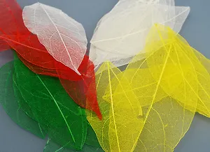 Листья скелетированные, разноцветные (20шт)