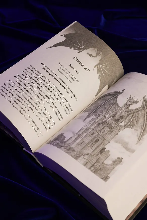 Книга Сожженные земли. Павший (Анна Щучкина) — 13