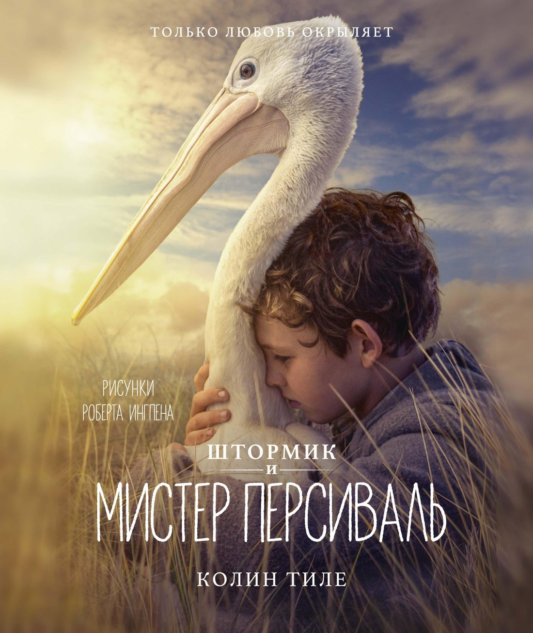

Штормик и мистер Персиваль. Повесть