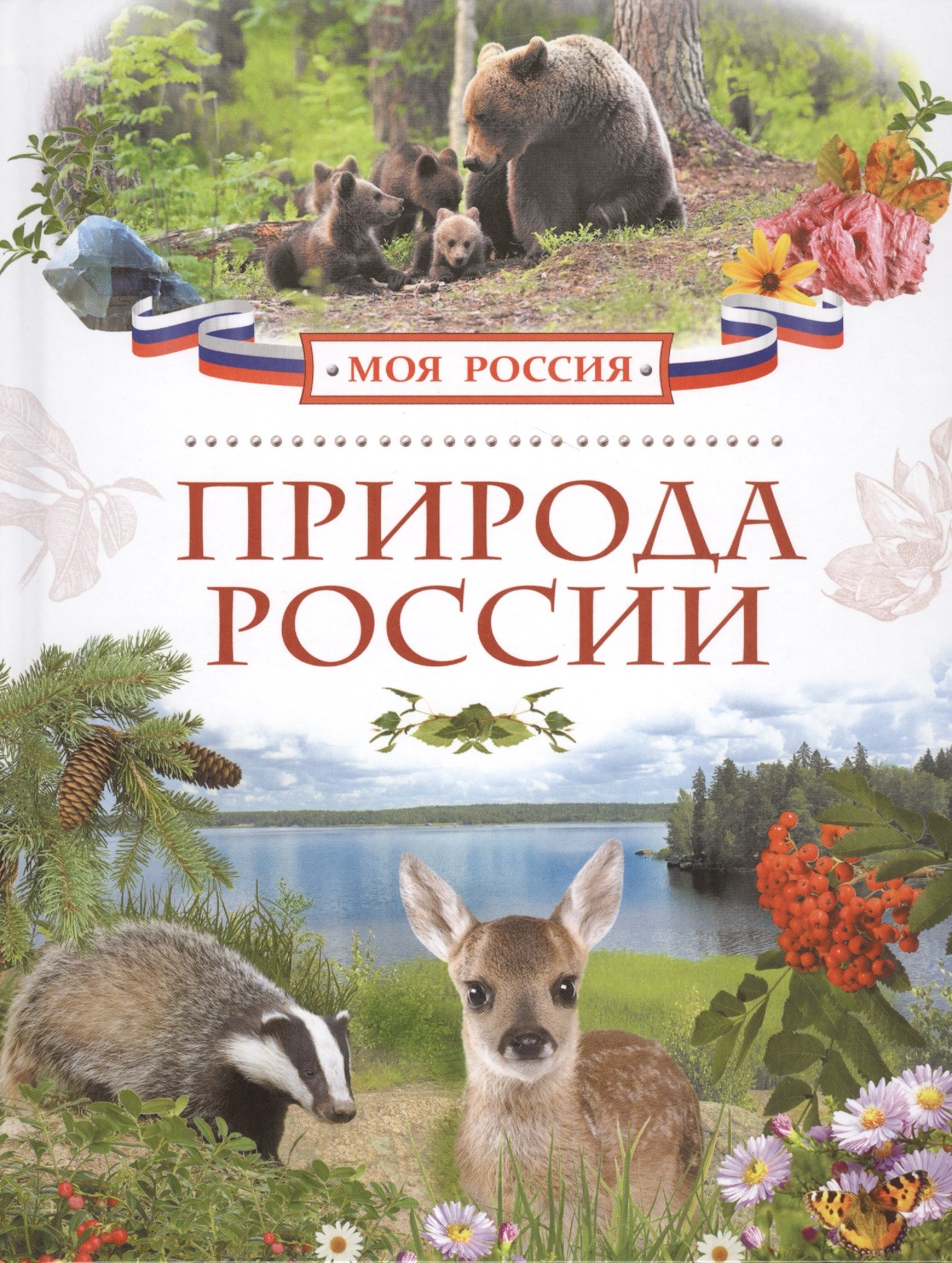 

Природа России