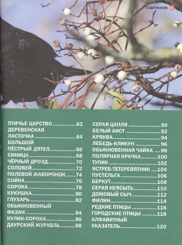 Книга Животные и птицы России () — 3