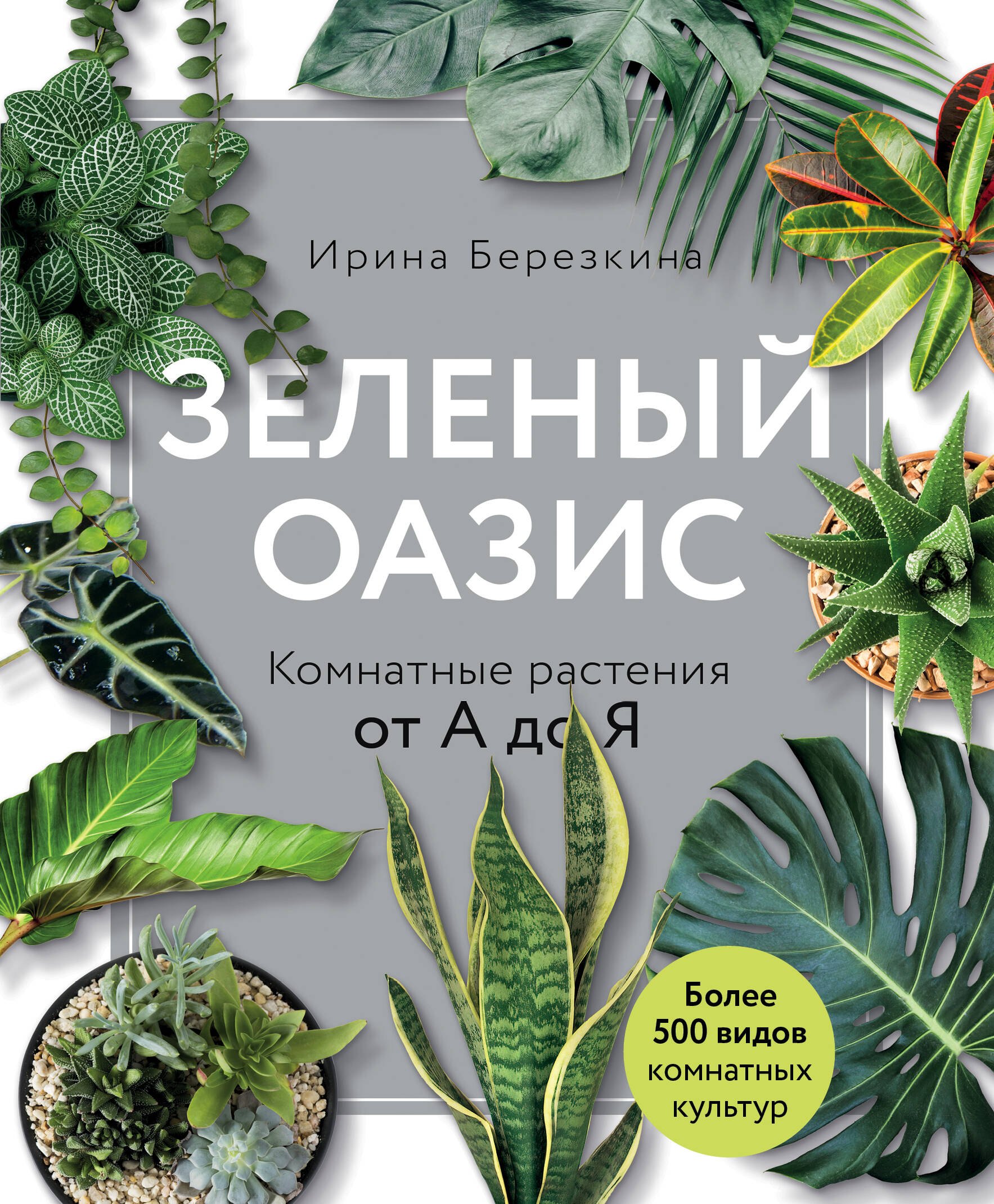 

Зеленый оазис. Комнатные растения от А до Я