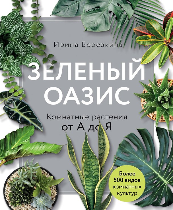 Книга Зеленый оазис. Комнатные растения от А до Я (Ирина Березкина) — 1