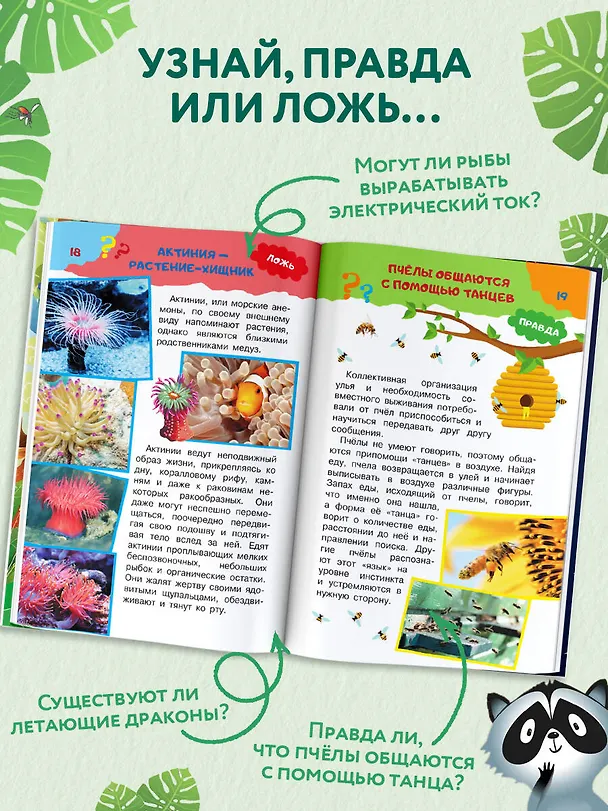 Книга А правда, что... (Владимир Малов, Андрей Косенкин, Павел Бобков) — 6