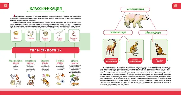 Книга Животные. Полная энциклопедия (Юлия Школьник) — 10