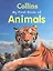 My First Book Of Animals (м) — 2510953 — 1