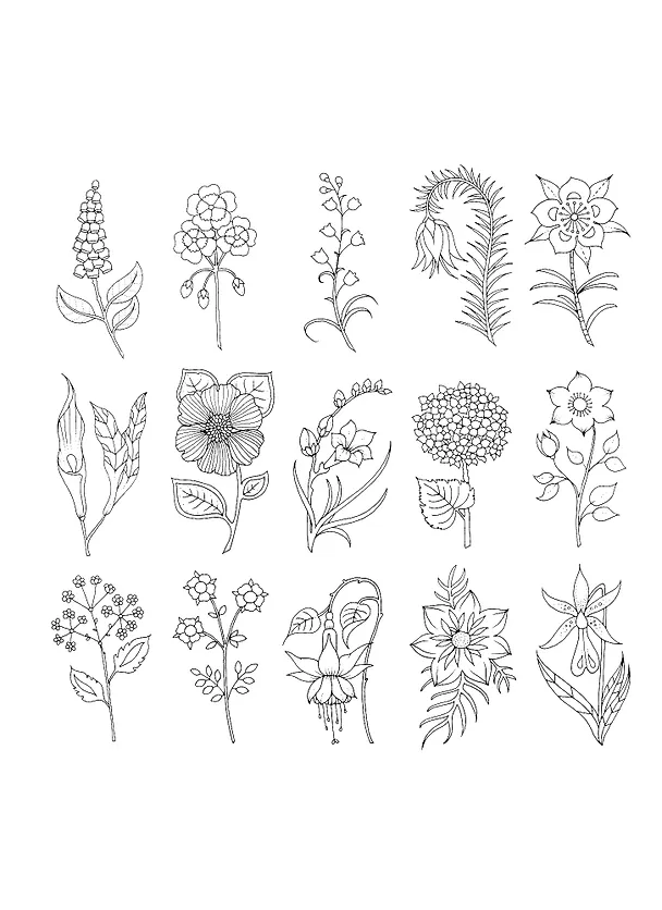 Книга World of Flowers: A Coloring Book and Floral Adventure (Johanna Basford) — 4