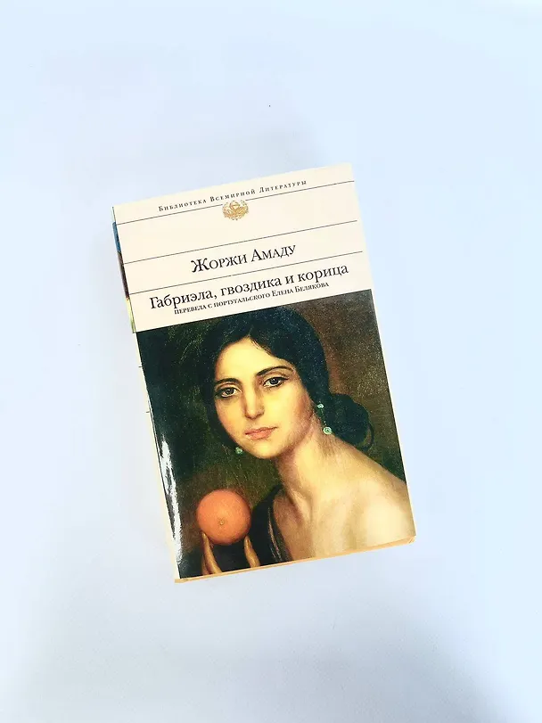 Книга Габриэла, гвоздика и корица (Жоржи Амаду) — 13