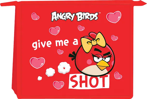 Папка для тетрадей «Angry Birds» А5, пластик, на молнии, 1 отделение 227891 — 1