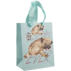 Пакет А5 23*18*10 "Doggy" дет., бум.мат.ламинат