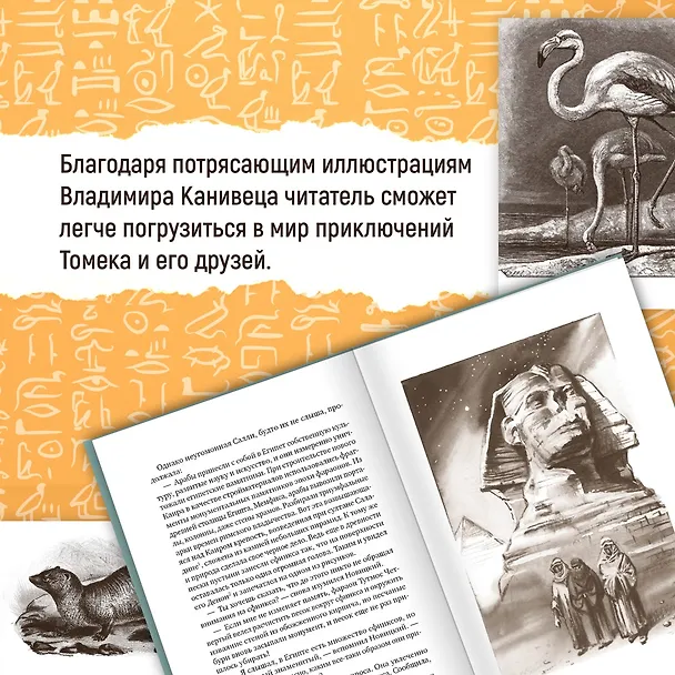 Книга Томек в стране фараонов (Альфред Шклярский) — 7