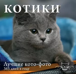 Котики. Лучшие кото-фото. 365 дней в году — 2450013 — 1