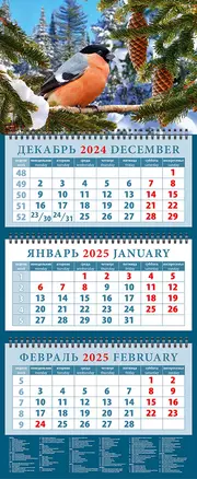 Календарь квартальный 2025г 320*760 "Снегирь" настенный, трёхблочный, спираль — 3053496 — 1