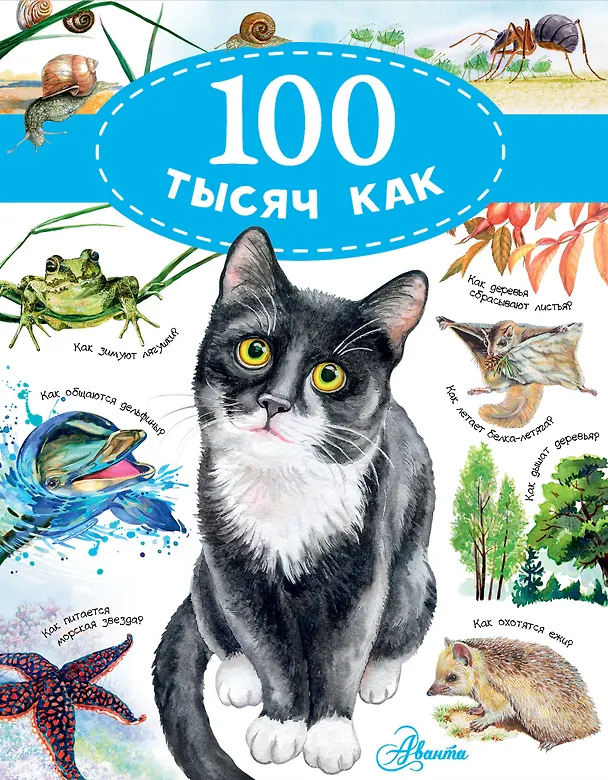 Книга 100 тысяч как (Павел Бобков) — 1